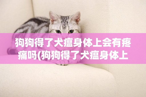 狗狗得了犬瘟身體上會有疼痛嗎(狗狗得了犬瘟身體上會有疼痛嗎怎么辦)