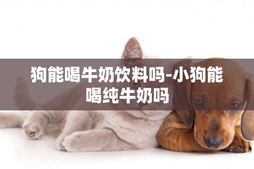 狗能喝牛奶飲料嗎-小狗能喝純牛奶嗎