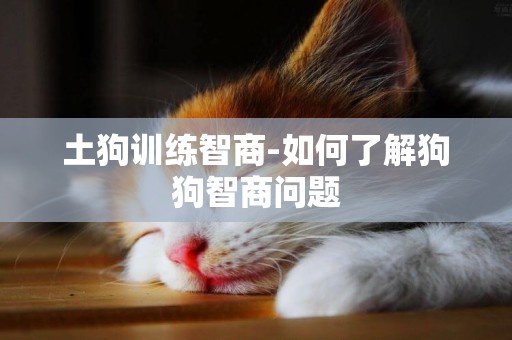 土狗訓練智商-如何了解狗狗智商問題