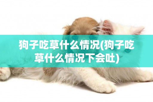 狗子吃草什么情況(狗子吃草什么情況下會吐)