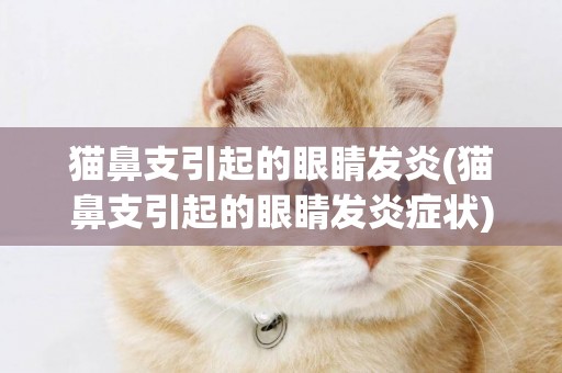 貓鼻支引起的眼睛發炎(貓鼻支引起的眼睛發炎癥狀)