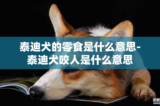 泰迪犬的零食是什么意思-泰迪犬咬人是什么意思