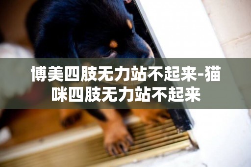 博美四肢無力站不起來-貓咪四肢無力站不起來