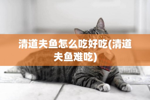 清道夫魚怎么吃好吃(清道夫魚難吃)