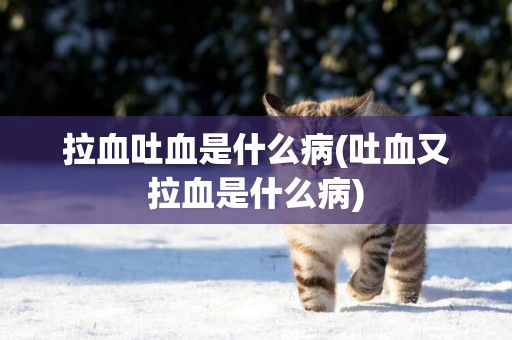 拉血吐血是什么病(吐血又拉血是什么病)
