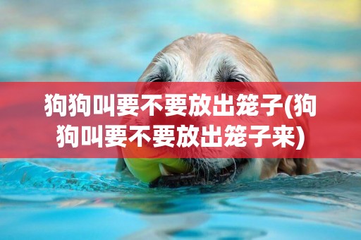 狗狗叫要不要放出籠子(狗狗叫要不要放出籠子來)