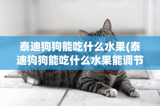 泰迪狗狗能吃什么水果(泰迪狗狗能吃什么水果能調節腸胃)