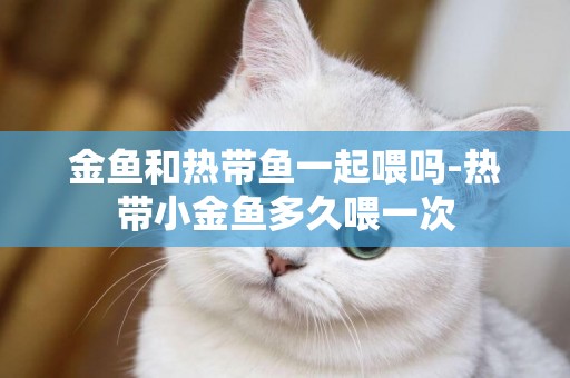 金魚和熱帶魚一起喂嗎-熱帶小金魚多久喂一次