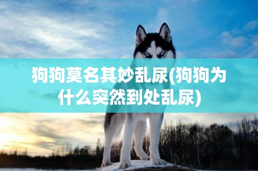 狗狗莫名其妙亂尿(狗狗為什么突然到處亂尿)
