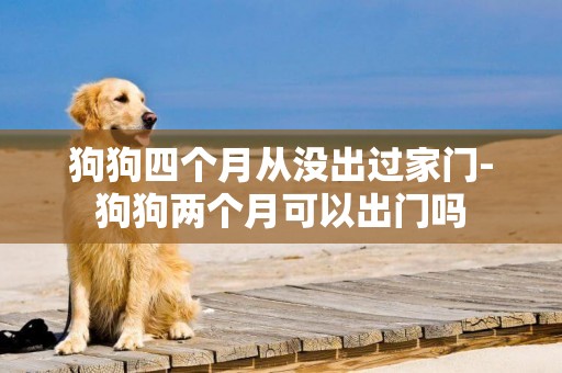 狗狗四個月從沒出過家門-狗狗兩個月可以出門嗎