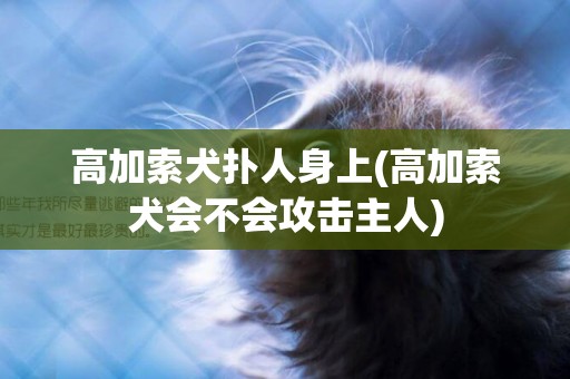 高加索犬撲人身上(高加索犬會不會攻擊主人)