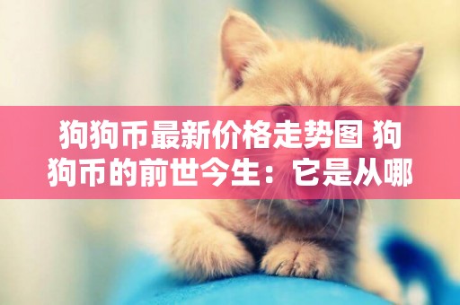 狗狗幣最新價格走勢圖 狗狗幣的前世今生：它是從哪里來的，為什么這么受歡迎，現在還能買到嗎？ 