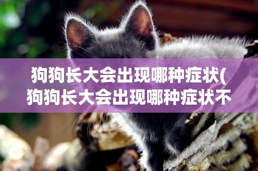 狗狗長大會出現哪種癥狀(狗狗長大會出現哪種癥狀不會走路)
