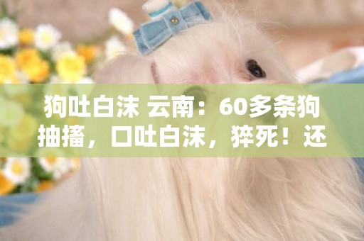 狗吐白沫 云南：60多條狗抽搐，口吐白沫，猝死！還有幾個死的！疑似中毒！? 