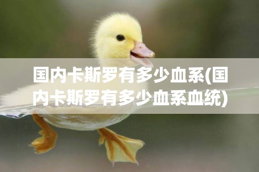 國內卡斯羅有多少血系(國內卡斯羅有多少血系血統)
