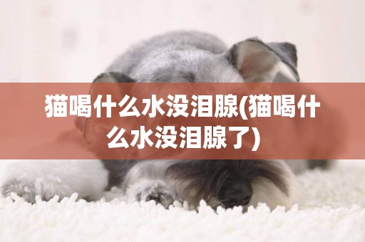 貓喝什么水沒淚腺(貓喝什么水沒淚腺了)