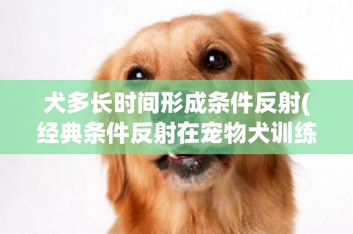 犬多長時間形成條件反射(經典條件反射在寵物犬訓練中有哪些作用)