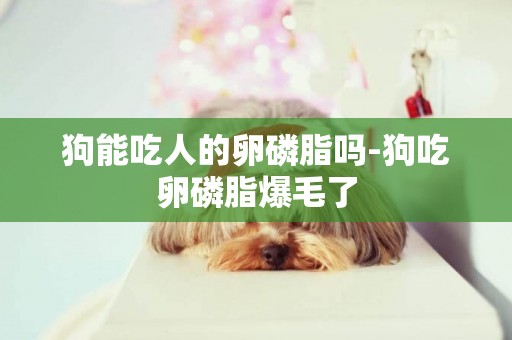 狗能吃人的卵磷脂嗎-狗吃卵磷脂爆毛了