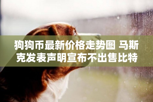 狗狗幣最新價格走勢圖 馬斯克發表聲明宣布不出售比特幣，狗狗幣價格上漲 