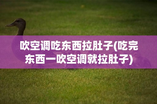吹空調吃東西拉肚子(吃完東西一吹空調就拉肚子)