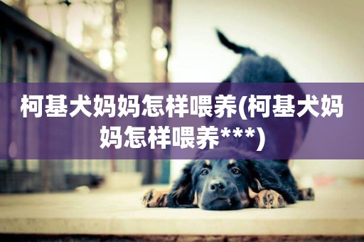 柯基犬媽媽怎樣喂養(柯基犬媽媽怎樣喂養***)