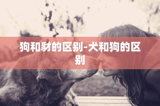 狗和豺的區別-犬和狗的區別