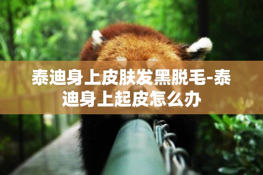 泰迪身上皮膚發黑脫毛-泰迪身上起皮怎么辦