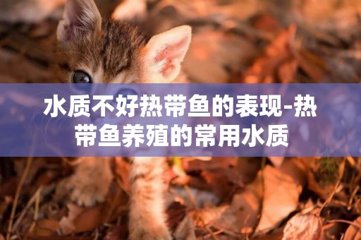 水質不好熱帶魚的表現-熱帶魚養殖的常用水質