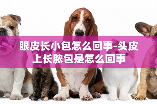 眼皮長小包怎么回事-頭皮上長膿包是怎么回事