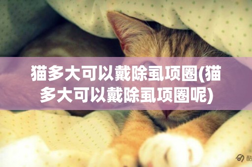 貓多大可以戴除虱項圈(貓多大可以戴除虱項圈呢)