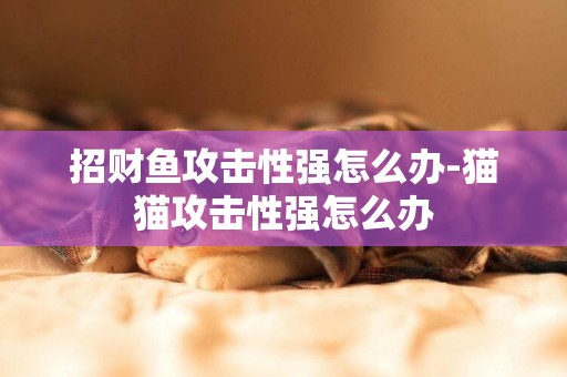 招財魚攻擊性強怎么辦-貓貓攻擊性強怎么辦