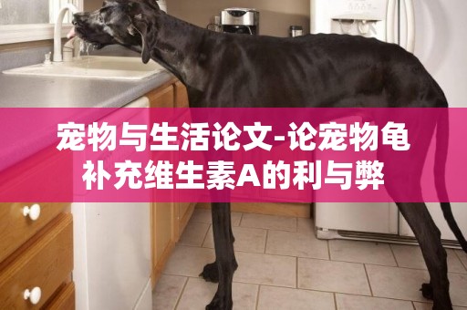 寵物與生活論文-論寵物龜補充維生素A的利與弊