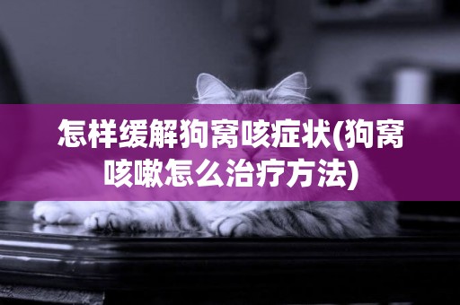 怎樣緩解狗窩咳癥狀(狗窩咳嗽怎么治療方法)