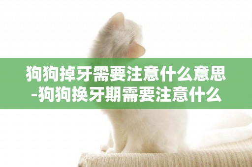 狗狗掉牙需要注意什么意思-狗狗換牙期需要注意什么