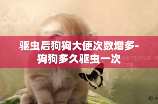 驅蟲后狗狗大便次數增多-狗狗多久驅蟲一次