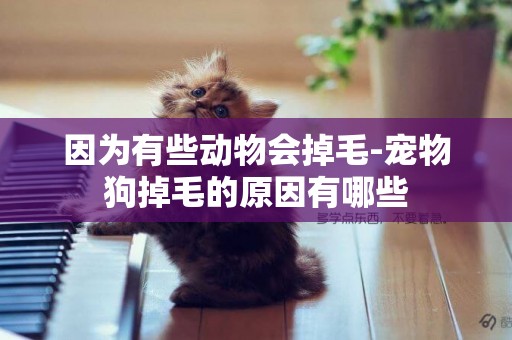 因為有些動物會掉毛-寵物狗掉毛的原因有哪些