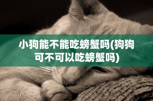 小狗能不能吃螃蟹嗎(狗狗可不可以吃螃蟹嗎)