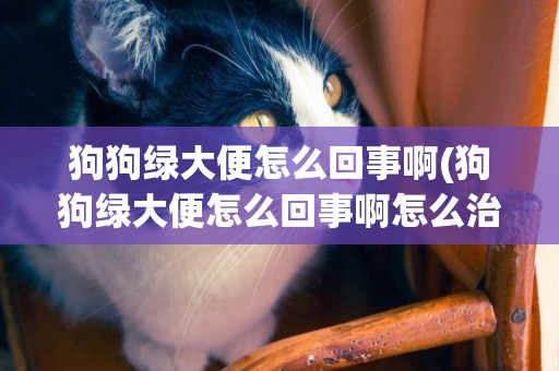 狗狗綠大便怎么回事啊(狗狗綠大便怎么回事啊怎么治)