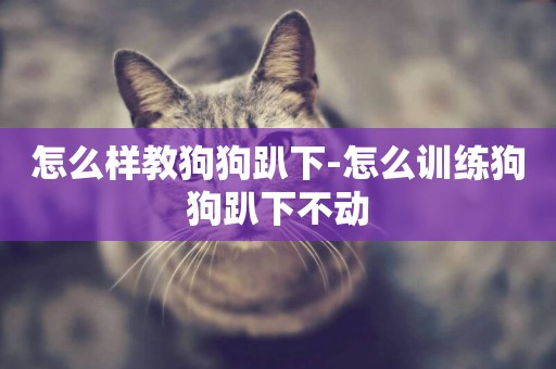 怎么樣教狗狗趴下-怎么訓練狗狗趴下不動
