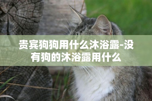 貴賓狗狗用什么沐浴露-沒有狗的沐浴露用什么
