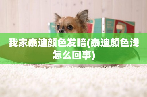 我家泰迪顏色發暗(泰迪顏色淺怎么回事)