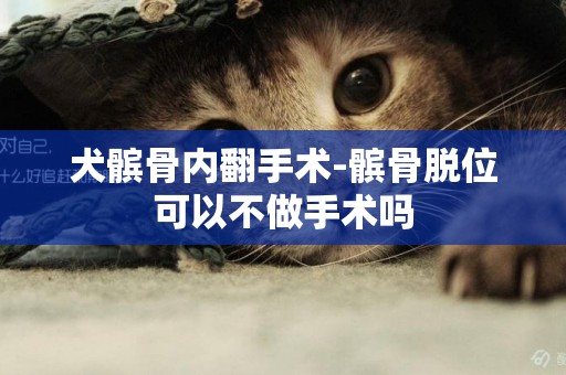 犬髕骨內翻手術-髕骨脫位可以不做手術嗎