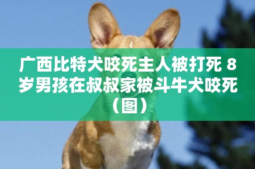 廣西比特犬咬死主人被打死 8歲男孩在叔叔家被斗牛犬咬死（圖） 