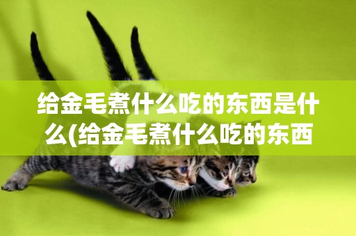 給金毛煮什么吃的東西是什么(給金毛煮什么吃的東西是什么梗)