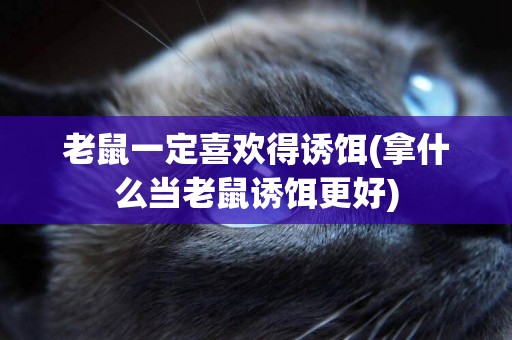 老鼠一定喜歡得誘餌(拿什么當老鼠誘餌更好)