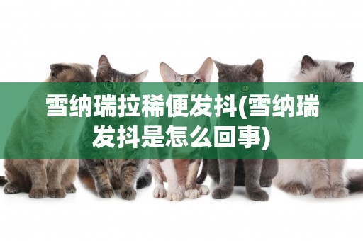雪納瑞拉稀便發抖(雪納瑞發抖是怎么回事)