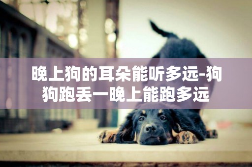 晚上狗的耳朵能聽多遠-狗狗跑丟一晚上能跑多遠