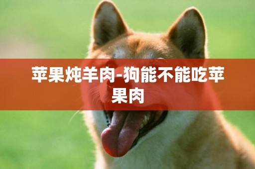蘋果燉羊肉-狗能不能吃蘋果肉