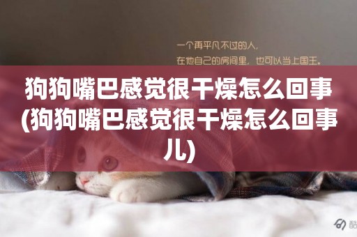 狗狗嘴巴感覺很干燥怎么回事(狗狗嘴巴感覺很干燥怎么回事兒)