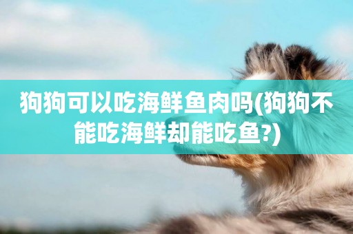 狗狗可以吃海鮮魚肉嗎(狗狗不能吃海鮮卻能吃魚?)